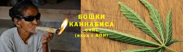 винт Абаза