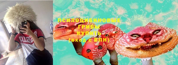 винт Абаза