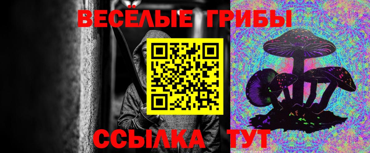 Псилоцибиновые грибы Cubensis Тутаев
