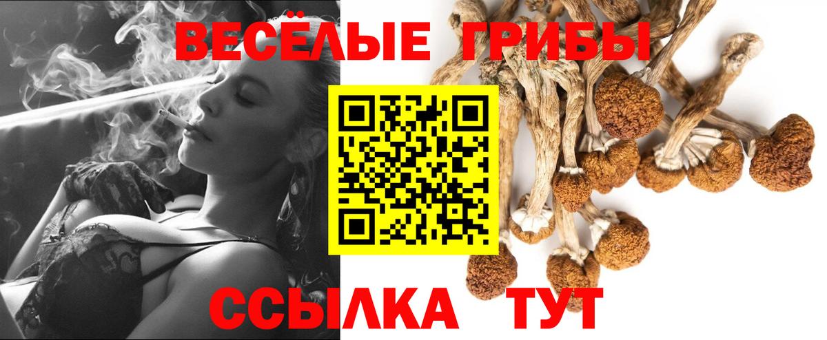 Тутаев  продажа наркотиков  Вход с VPN  Галлюциногенные грибы MAGIC MUSHROOMS 